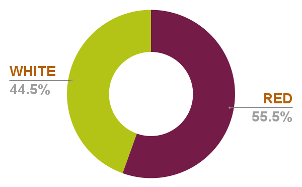 Chart 8